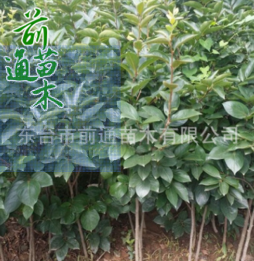 QQ截图20180829153424