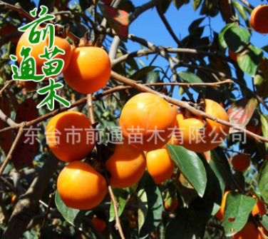 QQ截图20180829153434