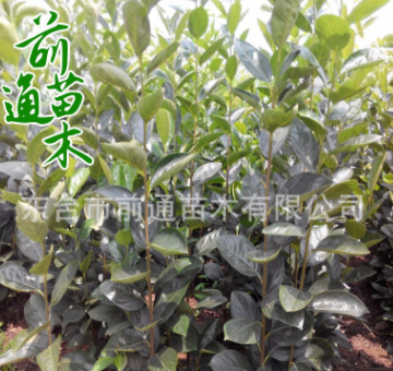 QQ截图20180829153444