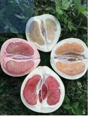 QQ截图20180830140955