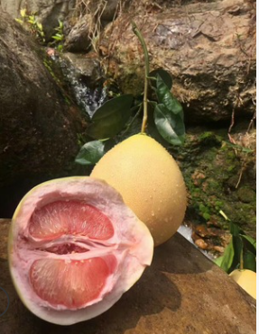 QQ截图20180830141007