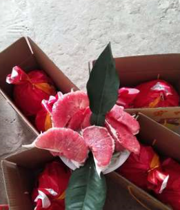 QQ截图20180830142439