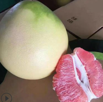 QQ截图20180830142449