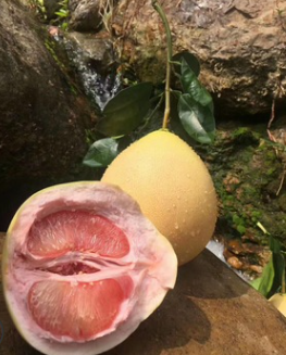 QQ截图20180830143447