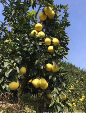 QQ截图20180830143458