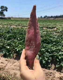 QQ截图20180830145814