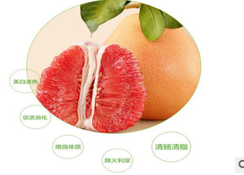 QQ截图20180830152948