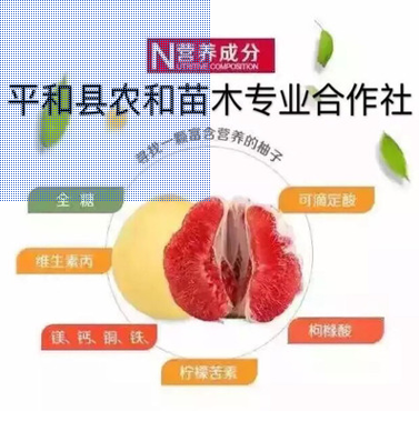 QQ截图20180830153000