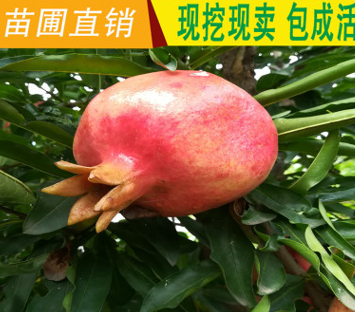 QQ截图20180830161440