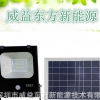 厂家直销10W太阳能灯智能光控投光灯 景观灯光控能太阳能庭院灯