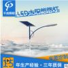 新款农村太阳能路灯 市政道路小区6米30w太阳能路灯 LED生产厂家