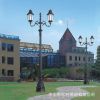 厂家直销欧式庭院灯 户外景观灯 LED高杆别墅草坪压铸铝杆路灯