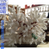 珊瑚工艺品雕塑摆件 厂家直供