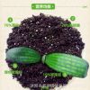 花土营养土大包包邮多肉土肥料种植腐殖种菜黑土养花泥炭绿萝土壤
