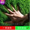 厂家批发 足球场门球 运动草坪 草坪地毯 绿化工程 绿化人造草皮