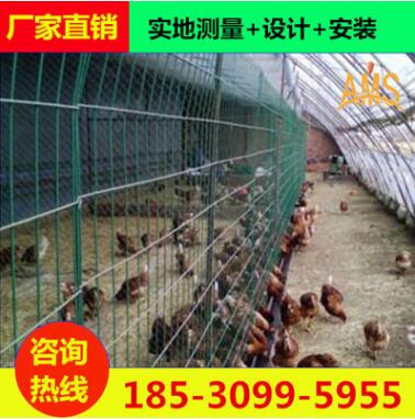 河南郑州养殖围栏网 防护圈地围网 养鸡护栏网桃型柱护栏网