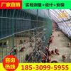 河南郑州养殖围栏网 防护圈地围网 养鸡护栏网桃型柱护栏网