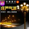 厂家直销LED中华灯路灯 6米8米12米户外景观市政道路照明市电路灯