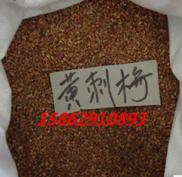 基地直销黄刺玫种子红刺玫种子黄蔷薇种子红刺玫玫瑰种子量大从优图3