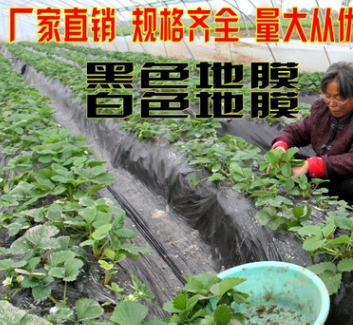 批发农用黑地膜除草膜草莓专用黑地膜种花生西瓜白地膜果园农作物