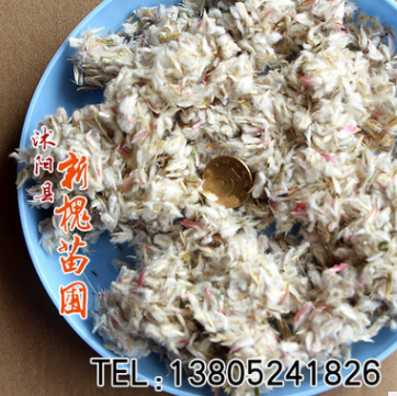 批发千日红种子 千日紫种子庭院盆栽花卉易种花草 价格从优图3