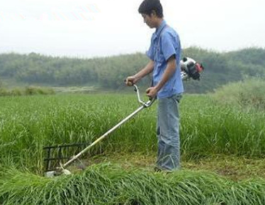 热销新型小型园林机械 小型多功能割草机割灌机 厂家供应