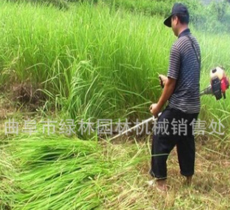 山东厂家直销多功能小型背负式割草机 侧挂式除草机收割机