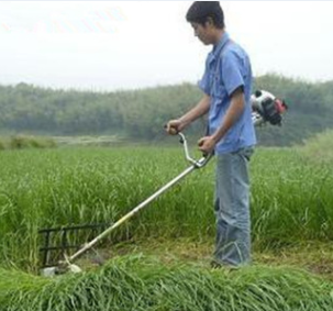 热销新型小型园林机械 小型多功能割草机割灌机 厂家供应