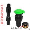 6分DN20塑料铜内丝快速取水阀内螺纹取水器取水插杆园林绿化方便