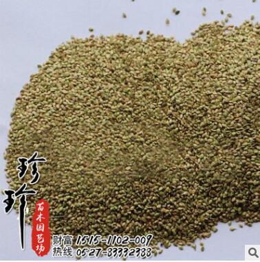 批发百喜草种子 百喜草籽 草坪种子 量大从优