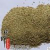 批发百喜草种子 百喜草籽 草坪种子 量大从优