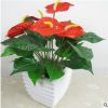 室内高档花卉盆栽 红掌 盆景植物 四季常青