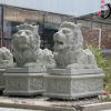 厂家直销 汉白玉石雕狮子 北京天安门石狮子 园林动物雕刻
