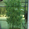 仿真竹子 假竹子屏风隔断装饰竹子 植物人造绿植细大粗毛竹竹林造