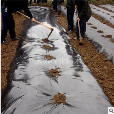 厂家批发农用塑料黑薄膜黑色地膜 白色地膜 除草专用黑地膜液态