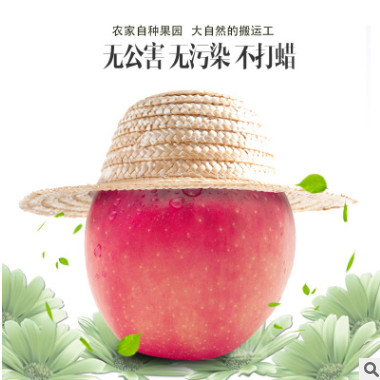脆甜红富士 苹果临猗水果