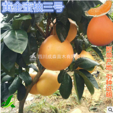园林绿化平台 园林绿化网 苗木网 苗圃网 苗木报价网 园林招标网 园林苗木网 园林工程网 景观设计网 园林机械网 绿化苗木网