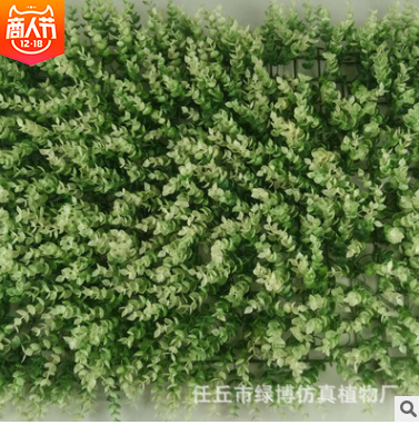 白尖尤加利 仿真植物墙绿植背景墙尤加利仿真米兰塑料草坪