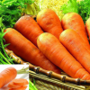 5斤装包邮 新鲜胡萝卜 现挖红萝卜可榨汁农家新鲜蔬菜(6个-15个)