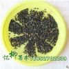 批发优质瓜子黄杨（好）种子 小叶黄杨 发芽率高 质量保证