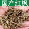 林木种子新采正宗中国产红枫种子红叶羽毛枫日本红枫树紫红鸡爪槭