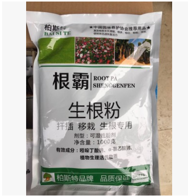 根霸生根粉1000G 扦插 移栽植物大树速效生根剂