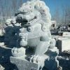 厂家直销青石石雕狮子 仿古石雕狮子 园林摆件石雕狮子