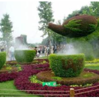 形势与政策下浅谈草坪建植技术在城市园林绿化工程中的应用