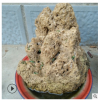 特价包邮 天然吸水石原石价格优惠 吸水性强易雕刻 盆景风水摆件
