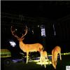 园林灯led户外防水庭院灯简约现代公园灯光小品仿真鹿摆件发光