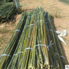 产地直销2017年江西竹杆 2.5米，2.7米优质豆架竹竿