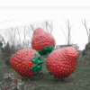 厂家直销 各种水果蔬菜造型雕塑 公园摆件 可来图定制