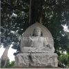 石雕大型如来佛主释迦摩尼佛像寺庙露天佛教人物雕塑雕刻厂家