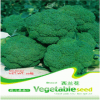 家庭种植原装彩包 蔬菜种子 西兰花菜 种子 （50粒）观赏食用